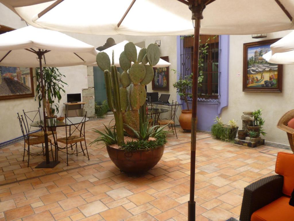 Hotel Trebol Oaxaca الغرفة الصورة